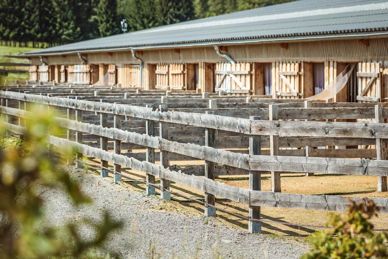 Ranchhouse Smoker- Westernstable - Horse エルターライン エクステリア 写真