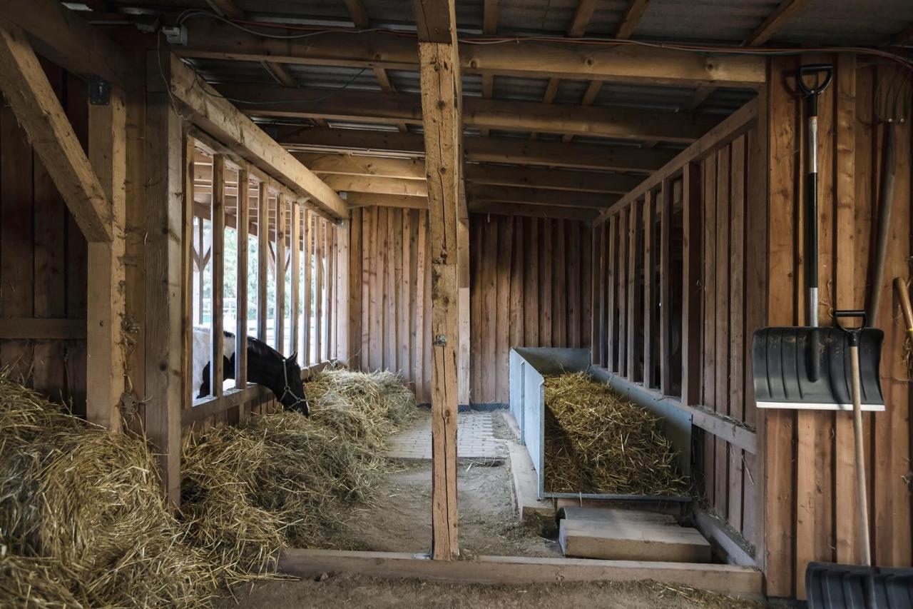 Ranchhouse Smoker- Westernstable - Horse エルターライン エクステリア 写真