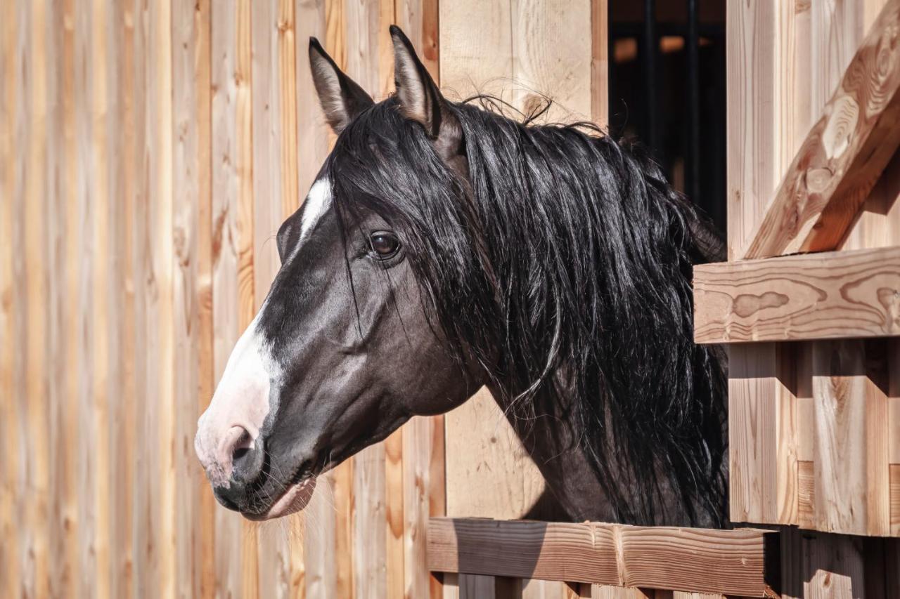Ranchhouse Smoker- Westernstable - Horse エルターライン エクステリア 写真